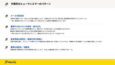 資料中面イメージ:代表的なヒューマンエラーのパターン